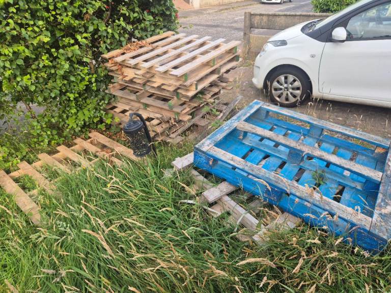 Free Wooden Pallets 
