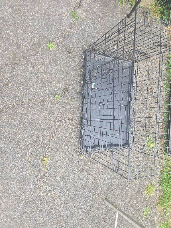 Dog cage 