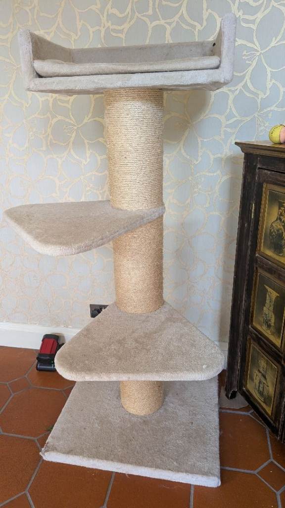 Huge Cat Climbing Post