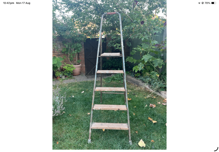Folding Heavy Duty Step Ladder