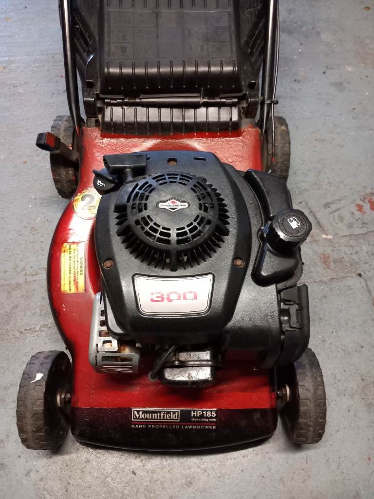 Petrol lawnmower