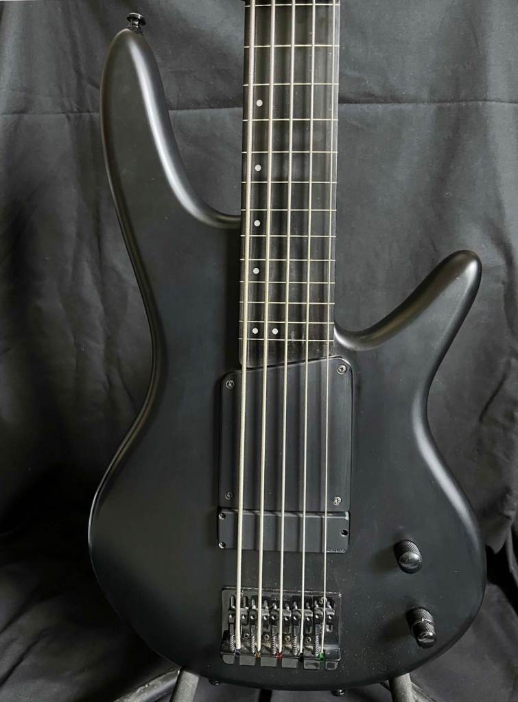 Ibanez Gary Willis 5 string fretless bass GWB35