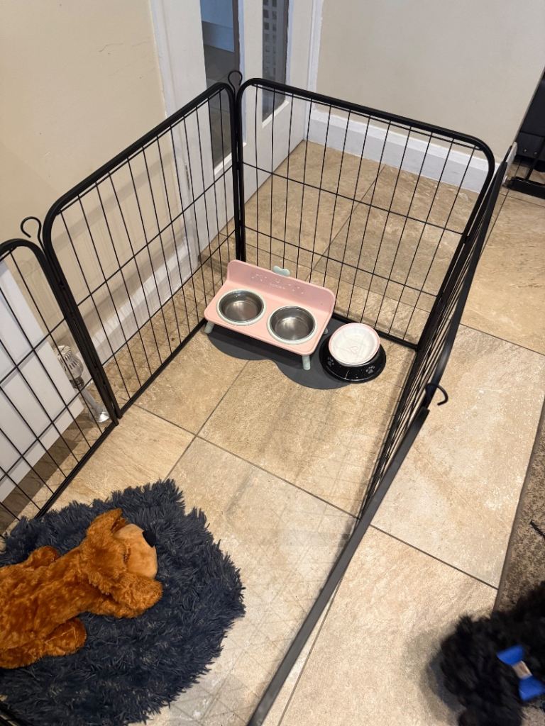 Dog cage black