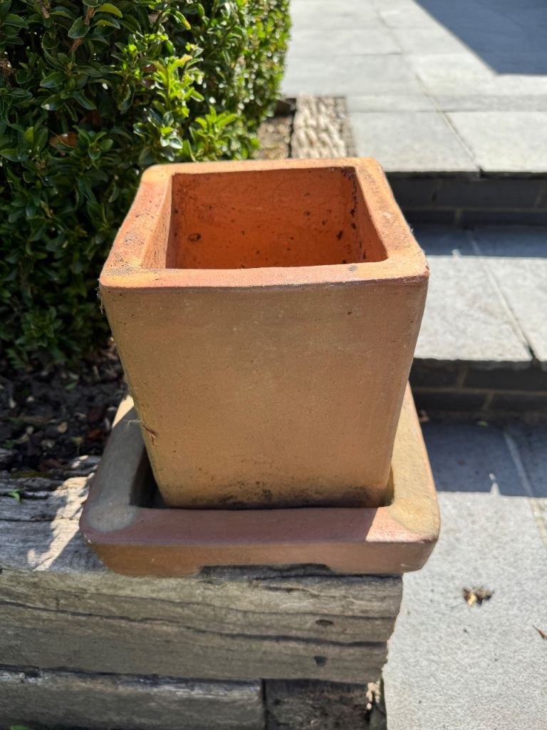 Thick square terracotta garden pot