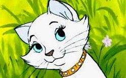  London and Home Counties FREE service, house-sitter, cat sitting