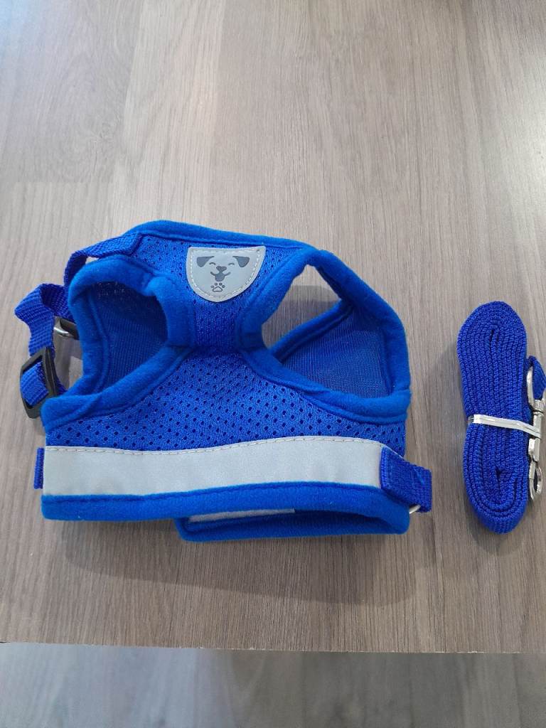 Blue Dog Harness And Lead Size Small