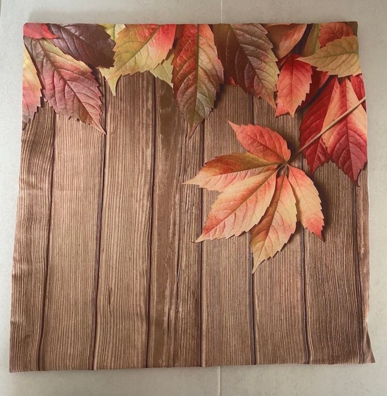 Rangebow 18 x 18 inch Cushion Cover with autumnal motif, new.