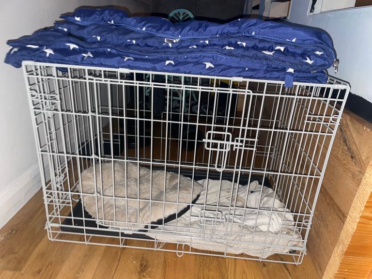 Large dog cage