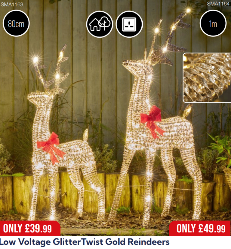New Stock - Christmas Decorations, Lights, Santa, Christmas Trees ect are on sale