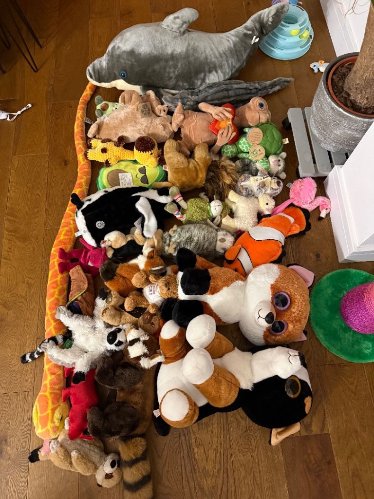 image for Loads of soft toys