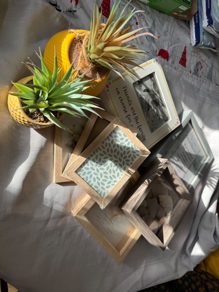 Picture frames and artificial plants