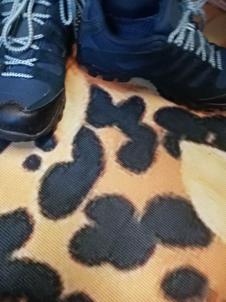 Wellington boots 