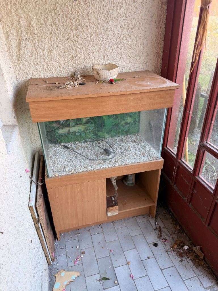 Fish tank 