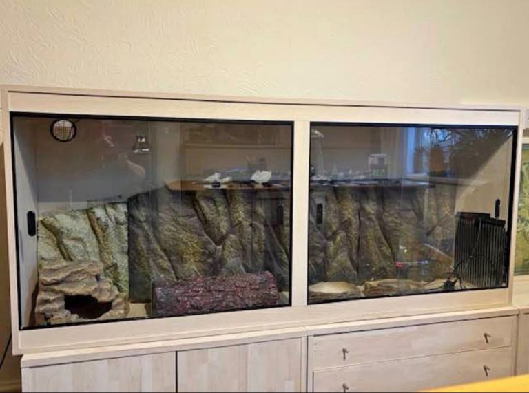 Vivarium reptile enclosure 
