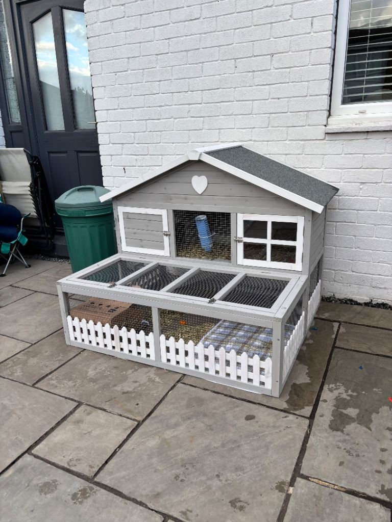 Guinea pig cottage