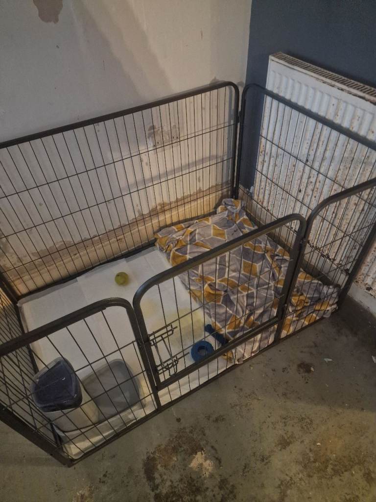 Puppy Whelping/Play Pen Equipment 