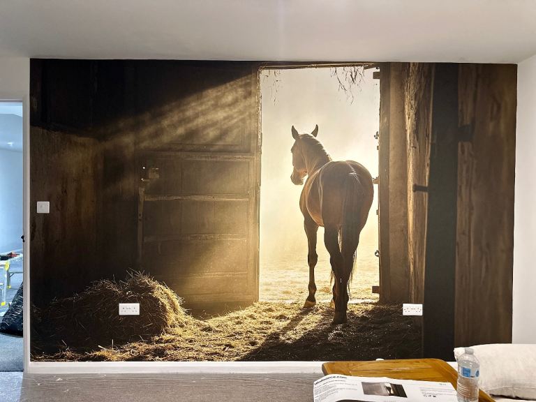 Painter Wallpaper Application Wall Panelling Handyman Flooring Fitter TV Mounting kitchen fitter