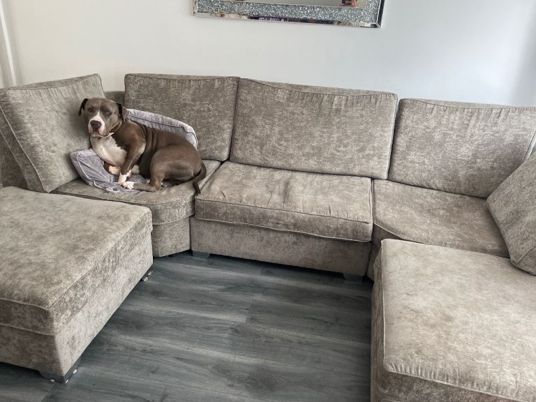 Free U shaped sofa