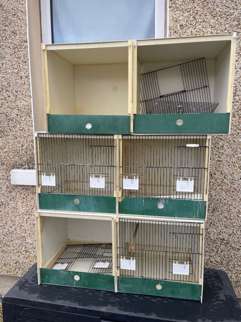 Double breeding cages 