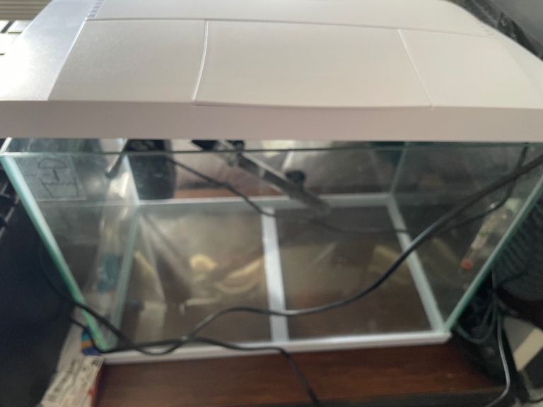 Glass Fish Tank / Aquarium with White Lid – Good Condition