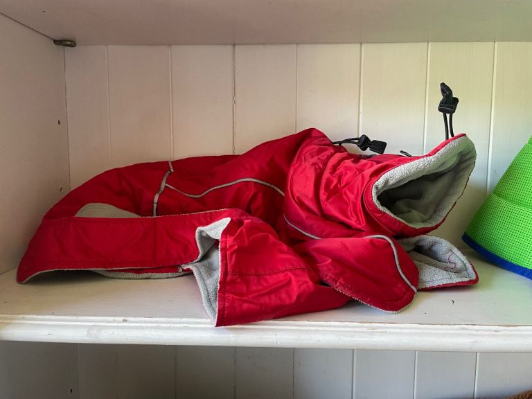 Whippet coats - puppy or small 