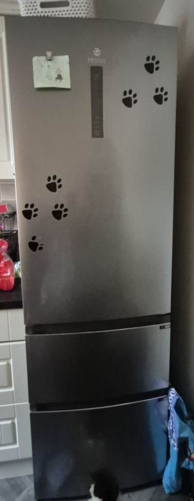 Fridge freezer almost yrs old