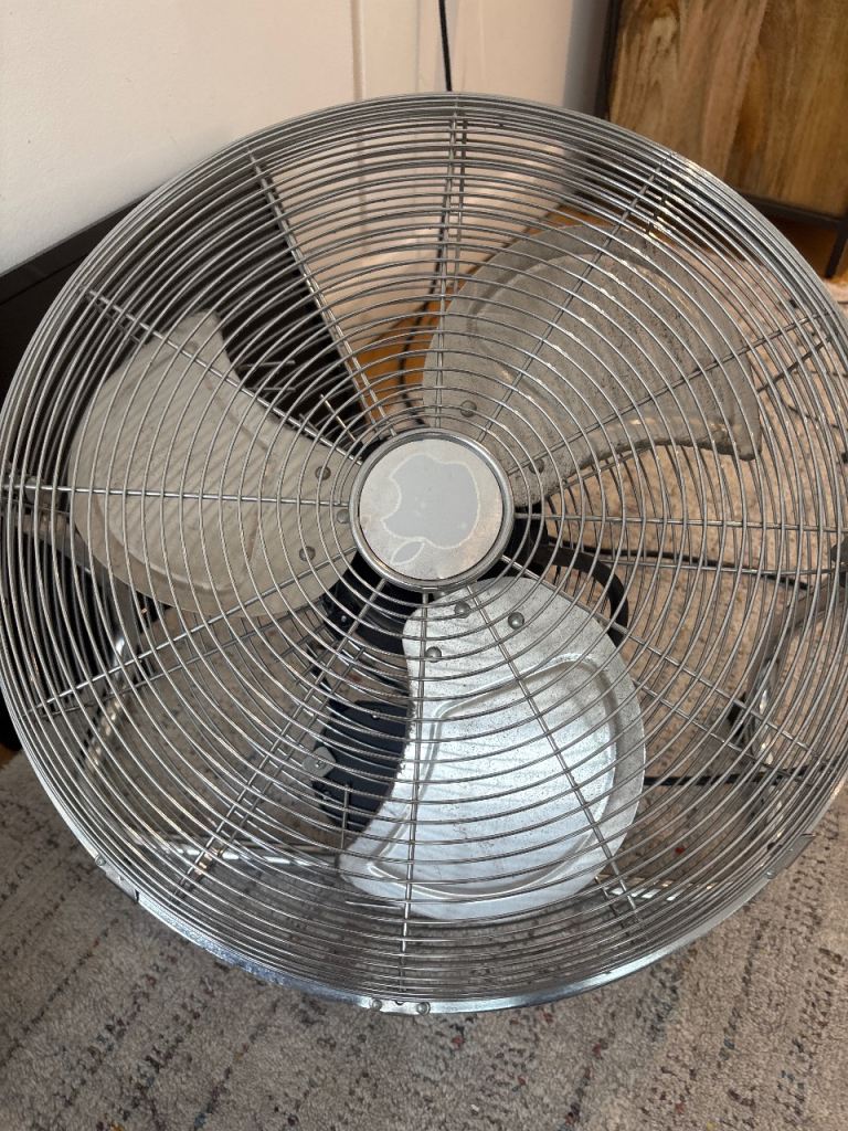 Strong Fan in West Kensington 