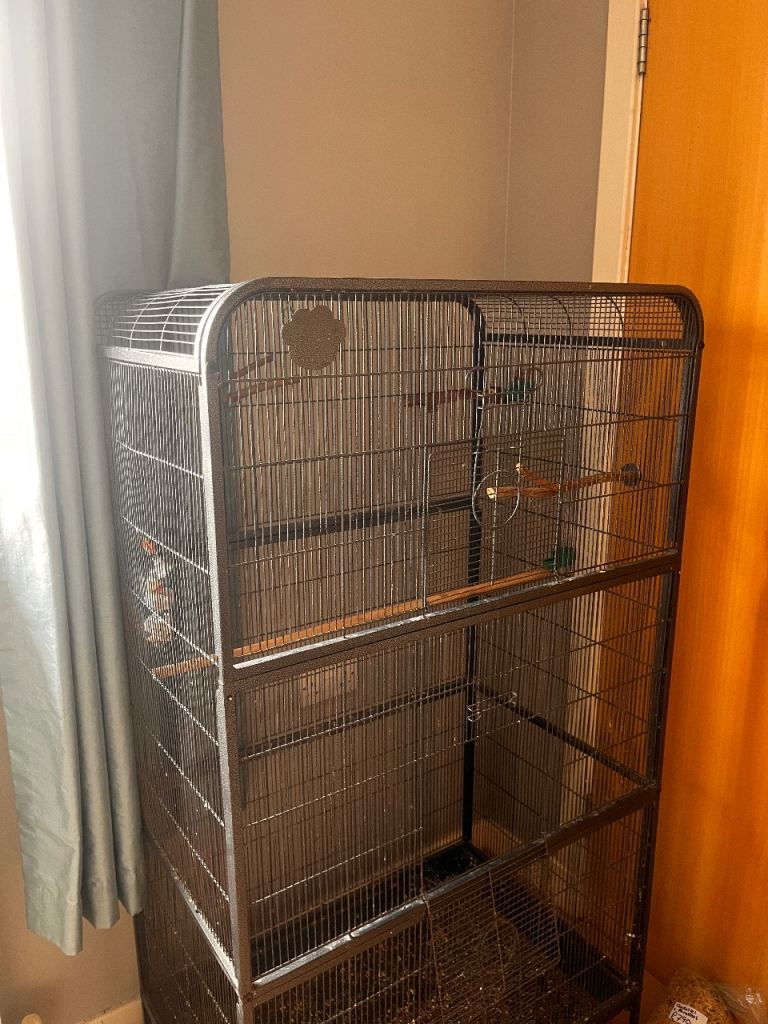 Bird cage