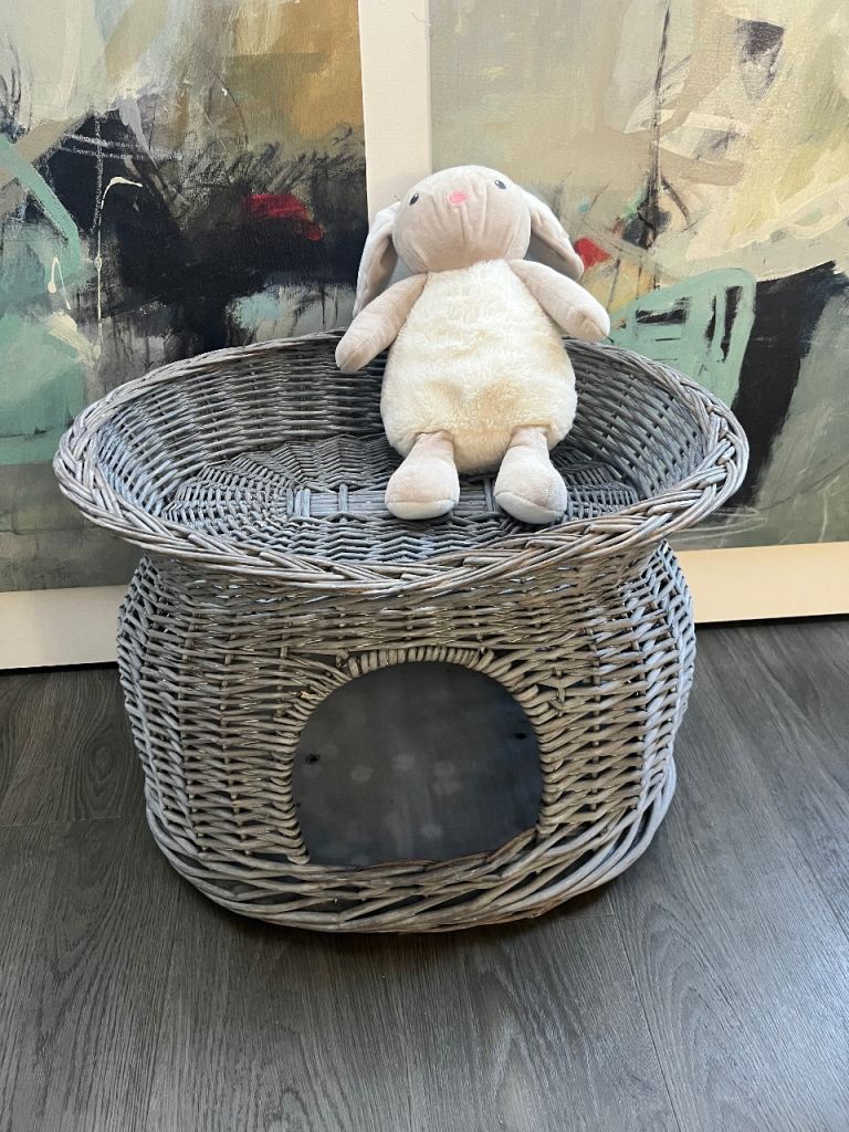 Small cat house with a doll 