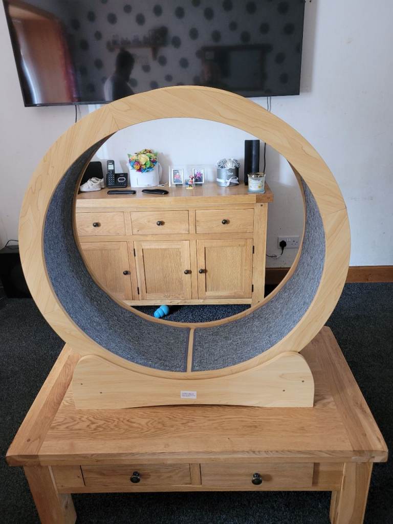 Large cat exercise wheel