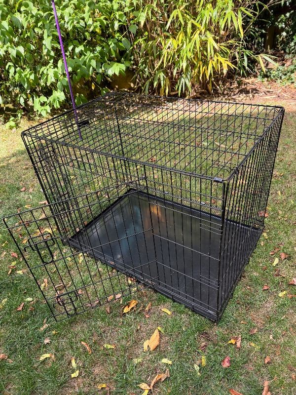 Dog crate 