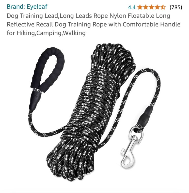 Long dog training lead