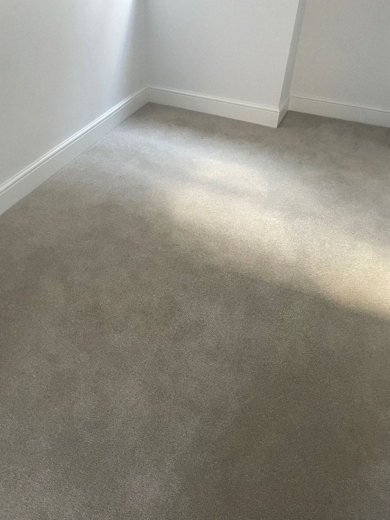 Soft light grey carpet - best offer, needs removal urgently 