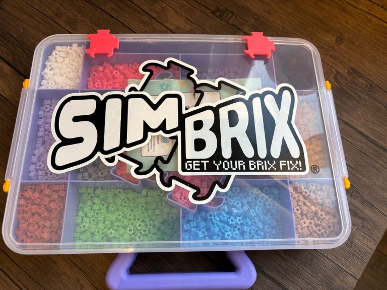 Sim Brix Building Blocks in Clear Storage Case