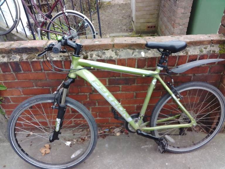 Python bicycle for sale