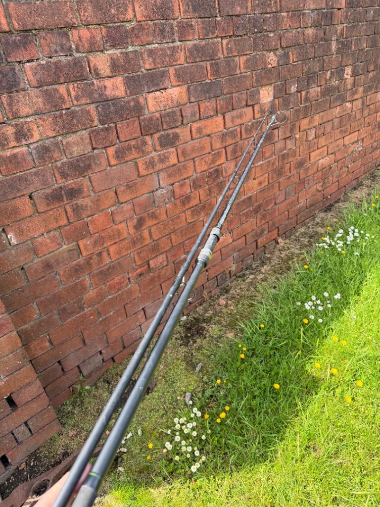 Pike deadbaiting set up