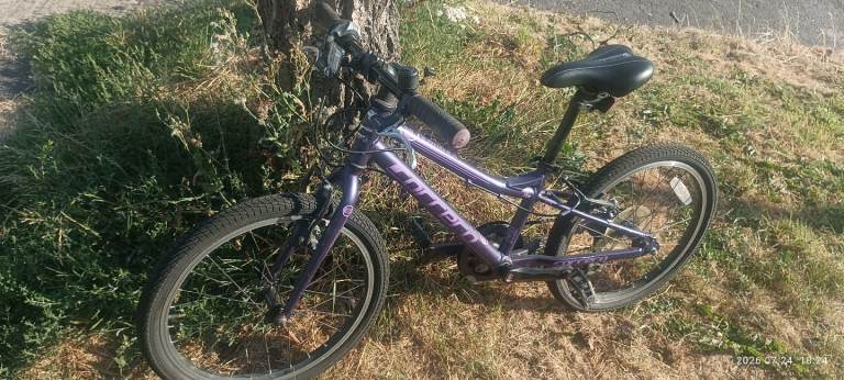 20" Carrera saruna junior hybrid bike 2021