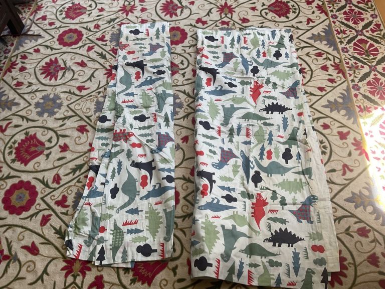 Dinosaur Curtains
