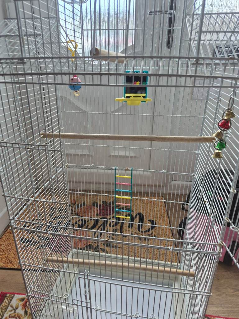 Large white bird cage