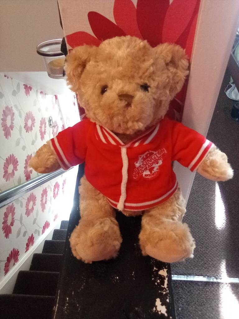 Chessington world of adventures plush bear 12 inch brand new 