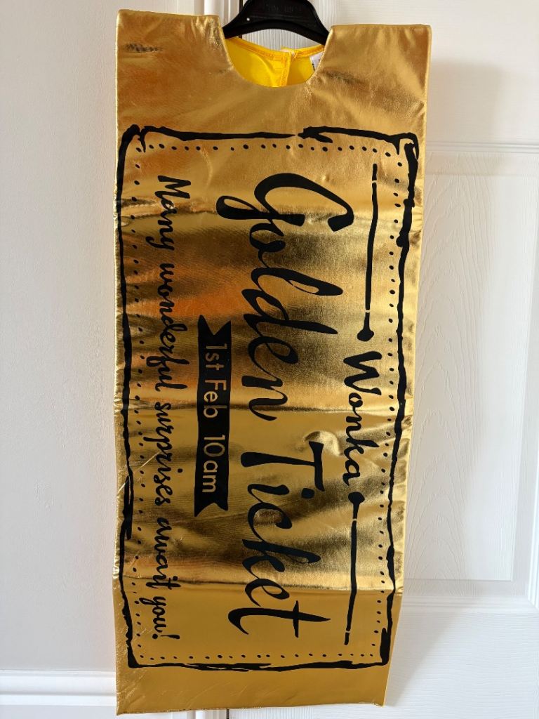 World book day costume - Gumtree