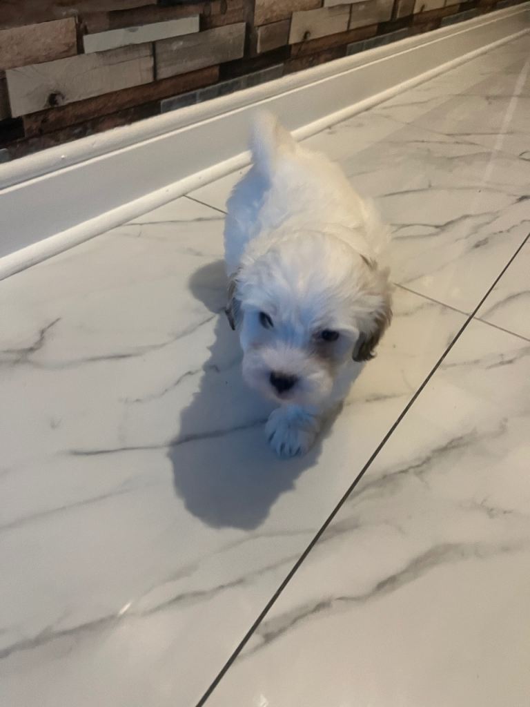 Bundle of joy 
