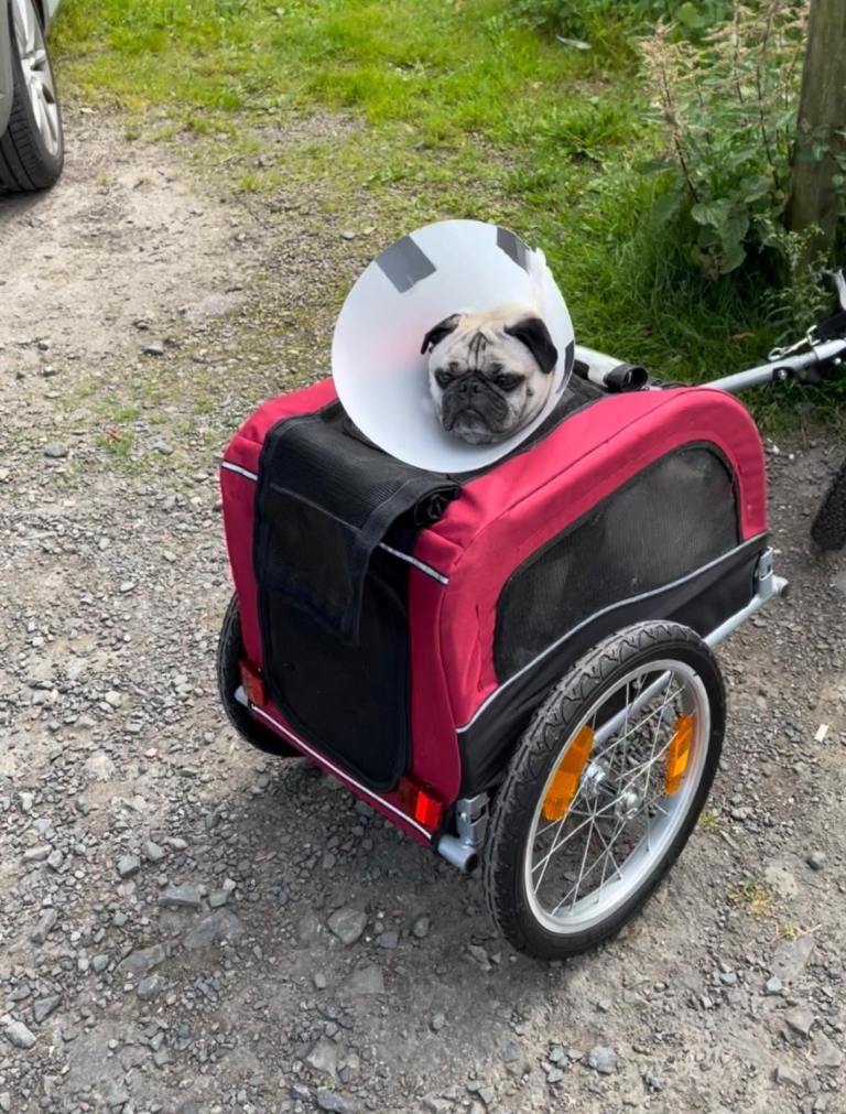 Trixie Dog trailer for bike