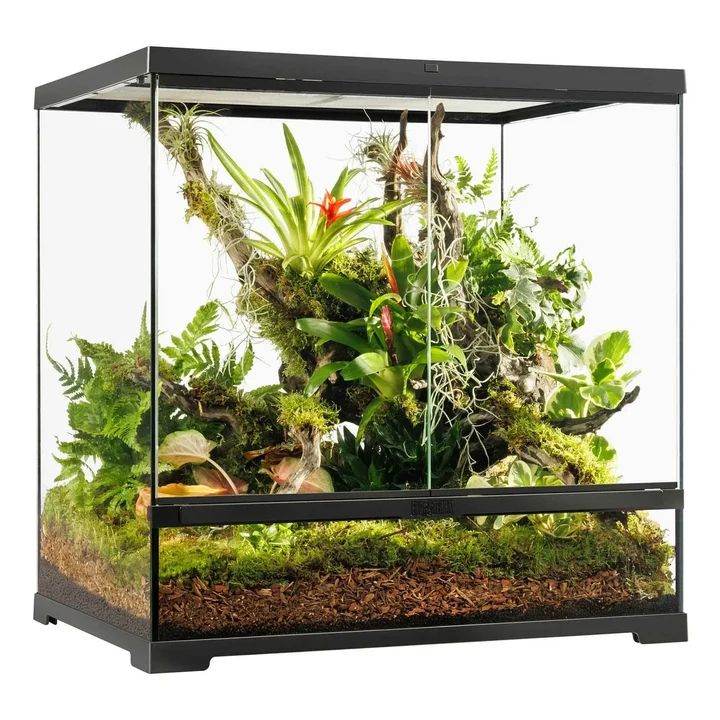 Exo Terra tank 45cm sq. with light box and combo meter