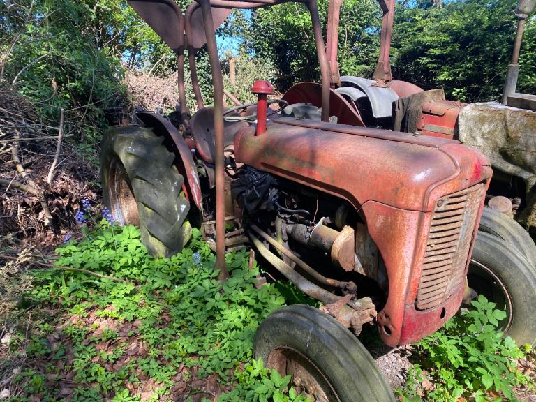 Massey Ferguson 35 vineyard 