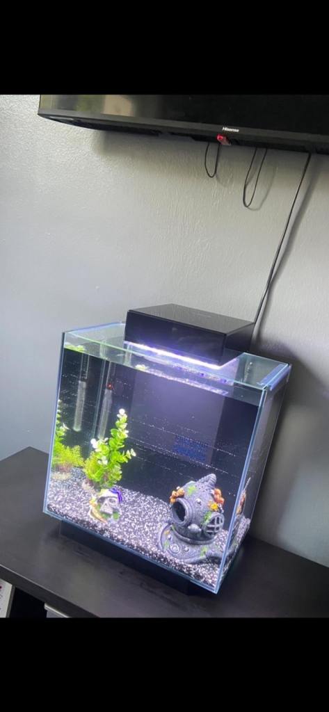 Fish Tank for sale