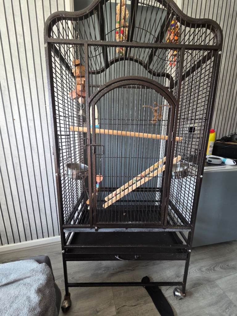 5ft parrot cage with accessories 