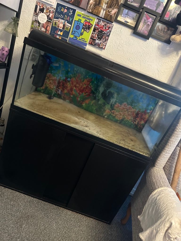 Fish tank with stand