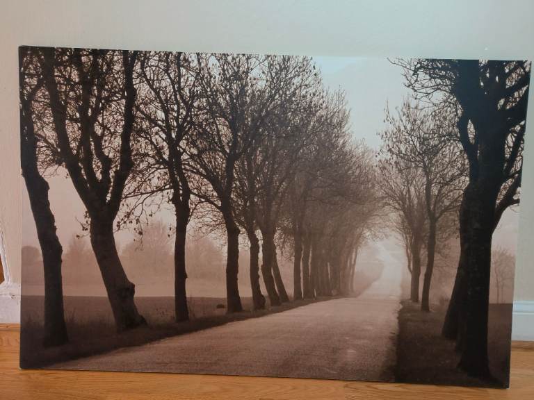 Large IKEA canvas print of trees 