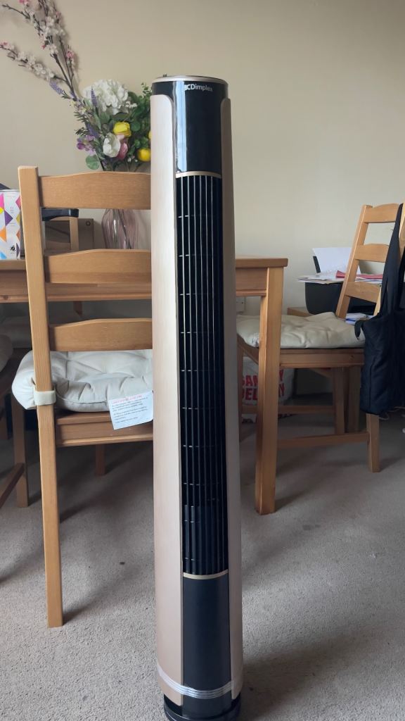 Dimplex Ion Fresh Cooling Fan